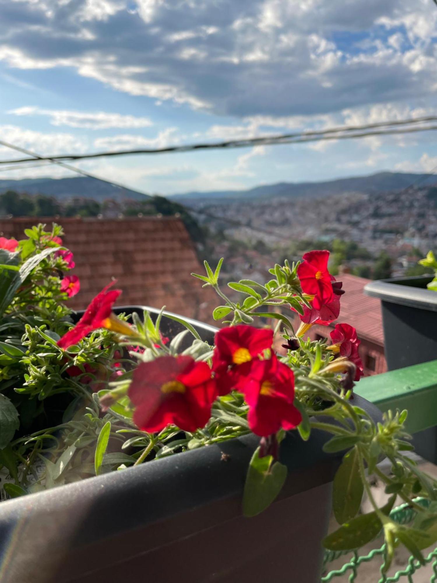 Apartmán Sarajevo Cozy Attic Exteriér fotografie